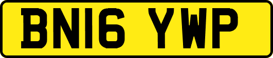 BN16YWP