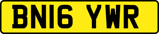 BN16YWR