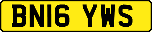 BN16YWS