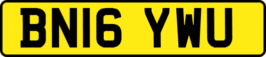 BN16YWU