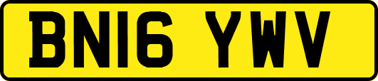 BN16YWV