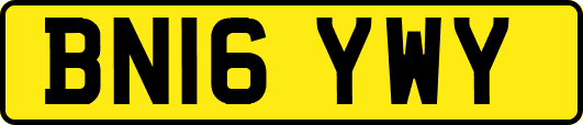 BN16YWY