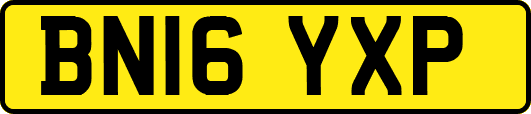 BN16YXP