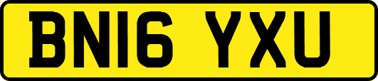 BN16YXU