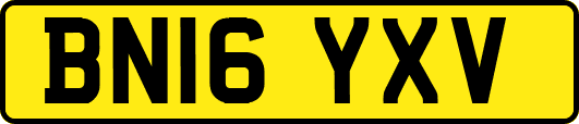 BN16YXV