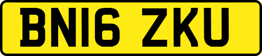 BN16ZKU