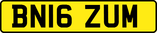 BN16ZUM