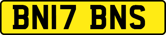 BN17BNS