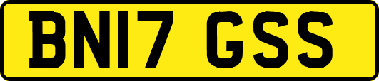 BN17GSS