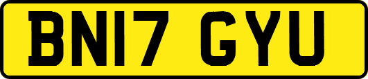 BN17GYU