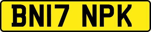 BN17NPK