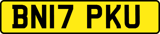 BN17PKU