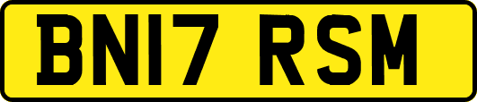 BN17RSM