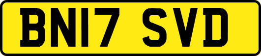 BN17SVD