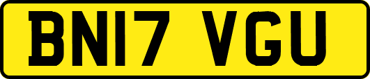BN17VGU