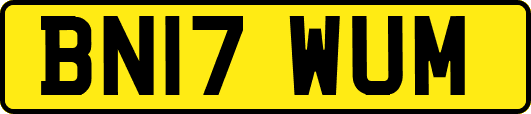 BN17WUM