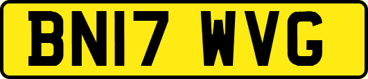 BN17WVG