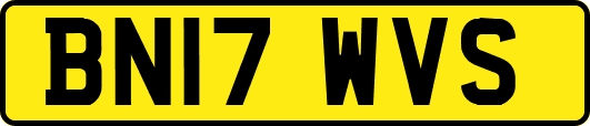 BN17WVS