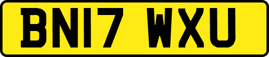 BN17WXU