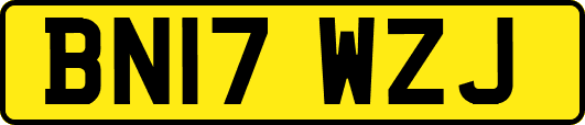 BN17WZJ