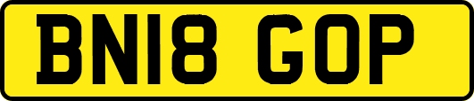 BN18GOP