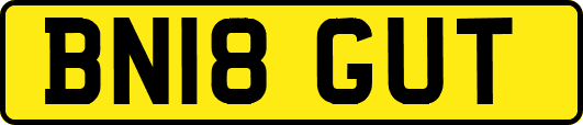 BN18GUT