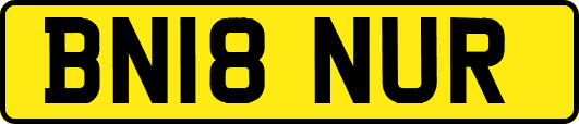 BN18NUR