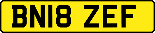 BN18ZEF