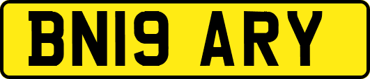 BN19ARY