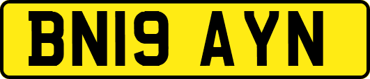 BN19AYN