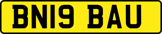 BN19BAU