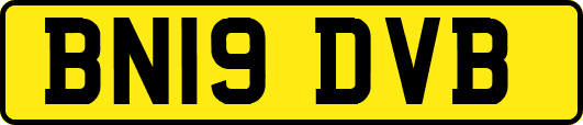 BN19DVB