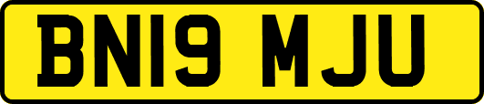 BN19MJU