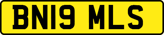 BN19MLS