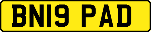 BN19PAD