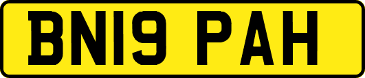 BN19PAH