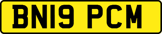 BN19PCM