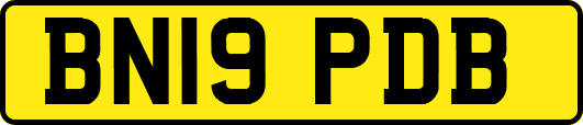 BN19PDB