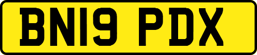 BN19PDX