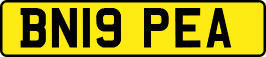 BN19PEA