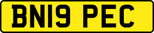 BN19PEC