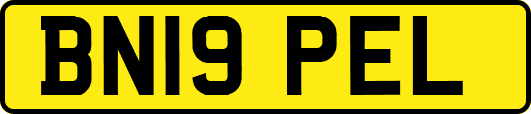 BN19PEL