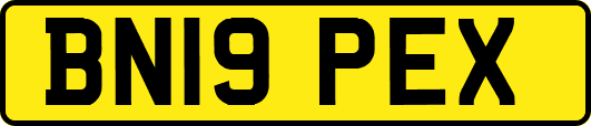 BN19PEX