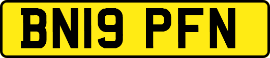 BN19PFN