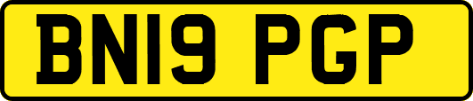 BN19PGP