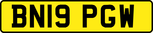 BN19PGW