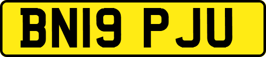 BN19PJU