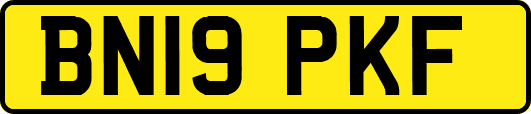 BN19PKF