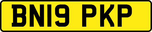 BN19PKP