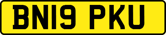 BN19PKU